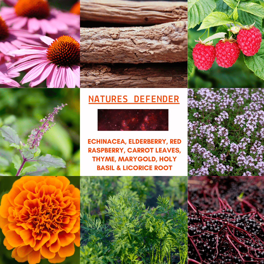 D&A Natures Defender - Immune Support - Dzastina Agata Natural