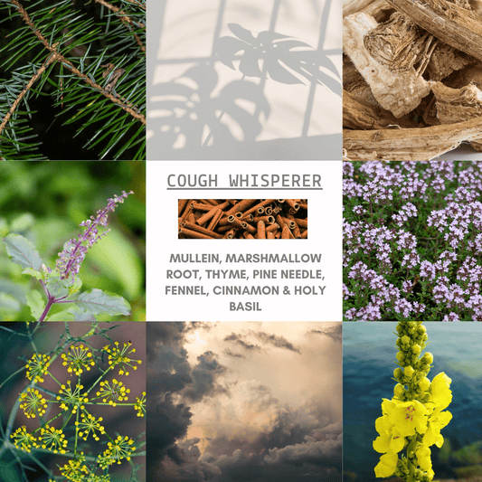 D&A Cough Whisperer - For Coughs - Dzastina Agata Natural