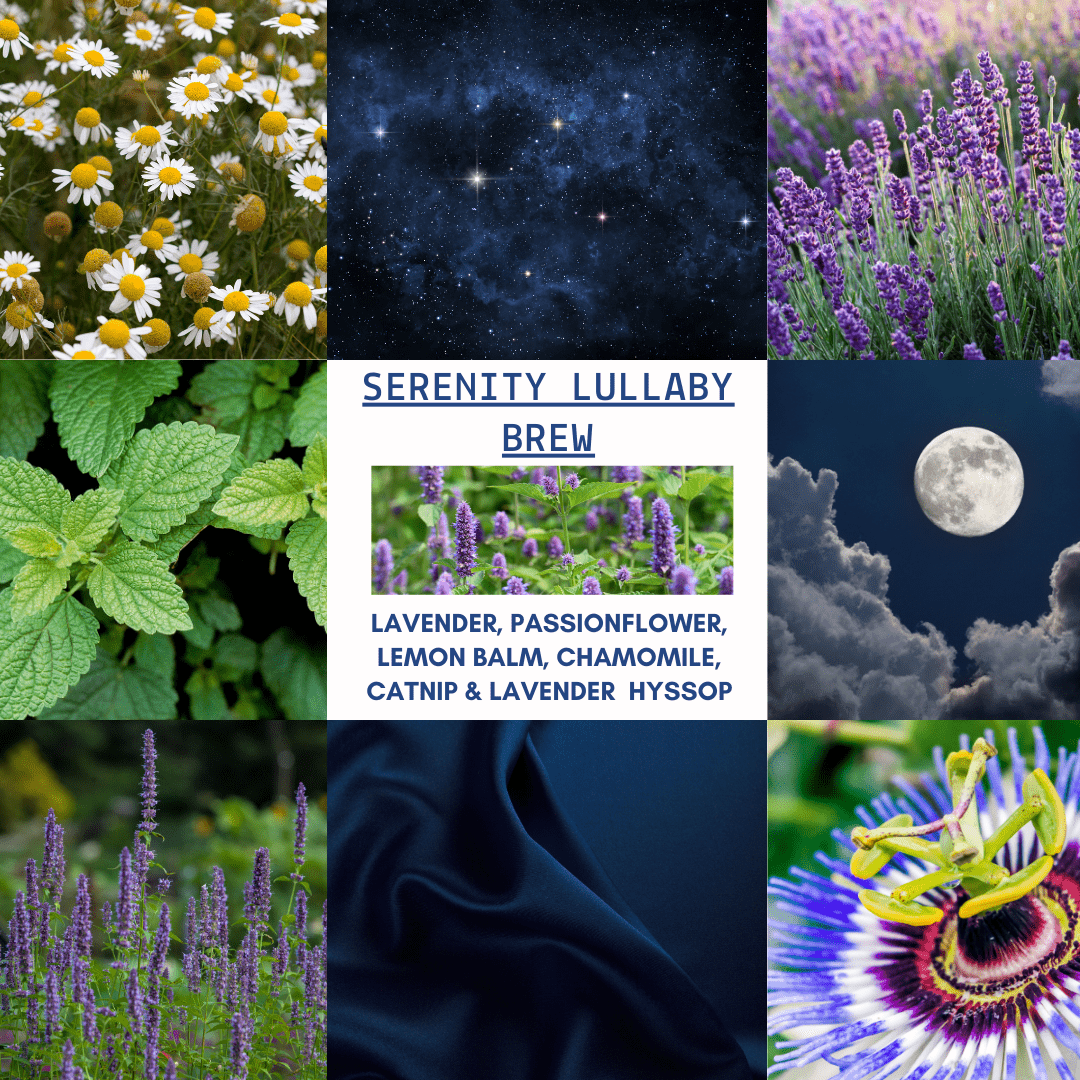D&A Serenity Lullaby Brew - Sleep - Dzastina Agata Natural