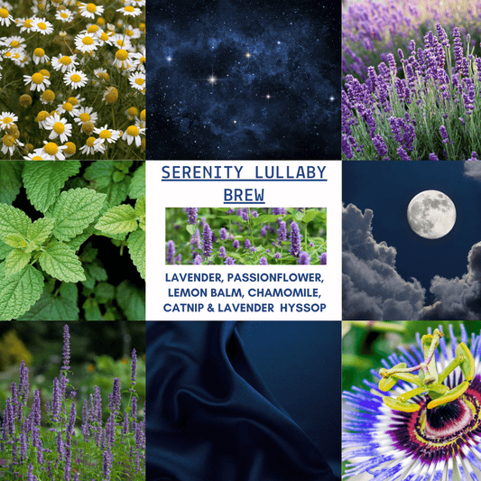 D&A Serenity Lullaby Brew - Sleep - Dzastina Agata Natural