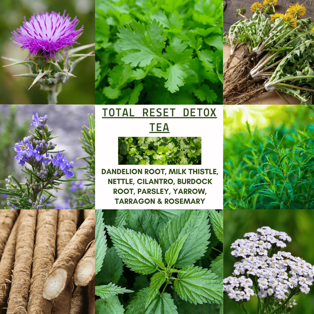 D&A Total Reset DeTox Tea - Detox - Dzastina Agata Natural