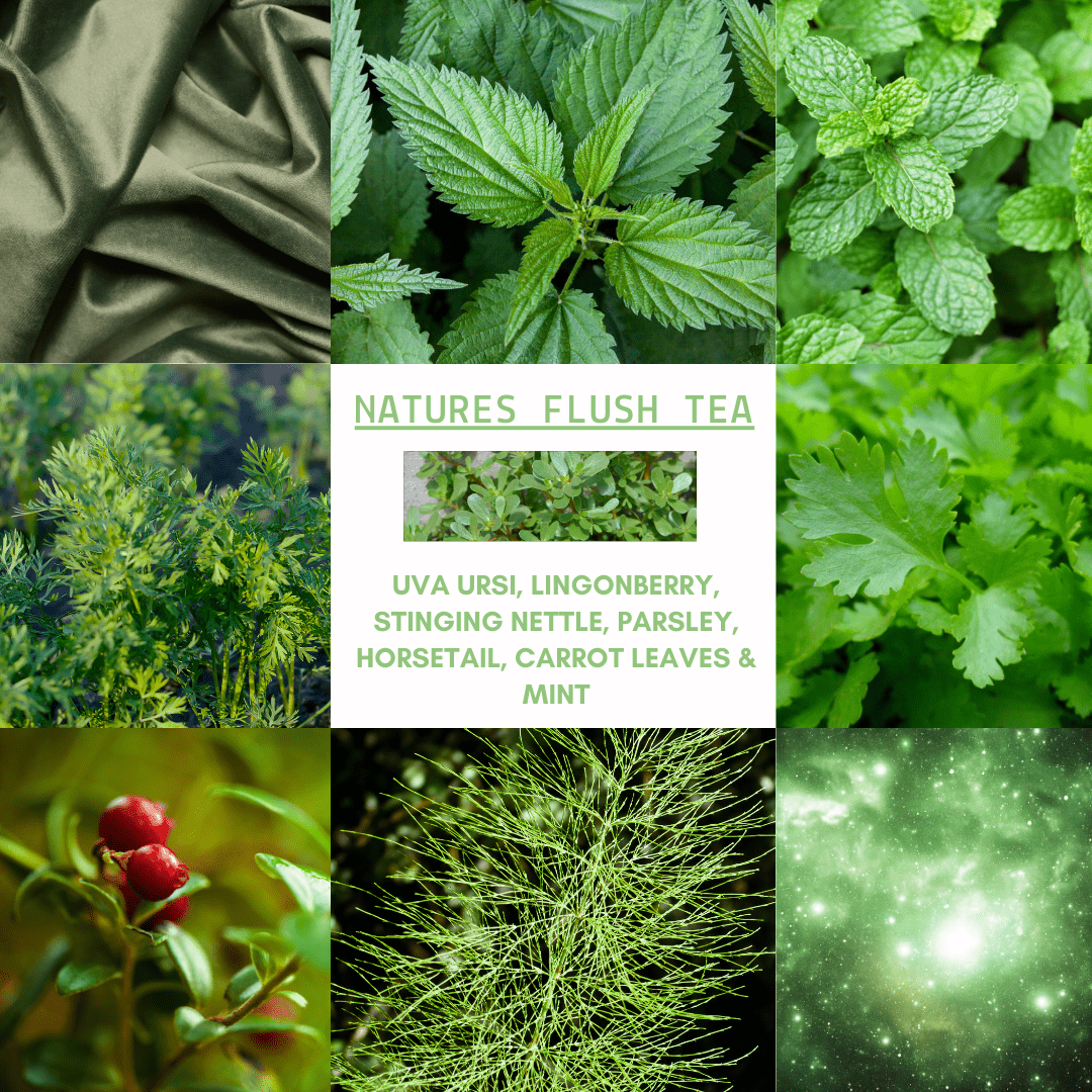 D&A Natures Flush Tea - Bladder, Uti, & Cleanse - Dzastina Agata Natural