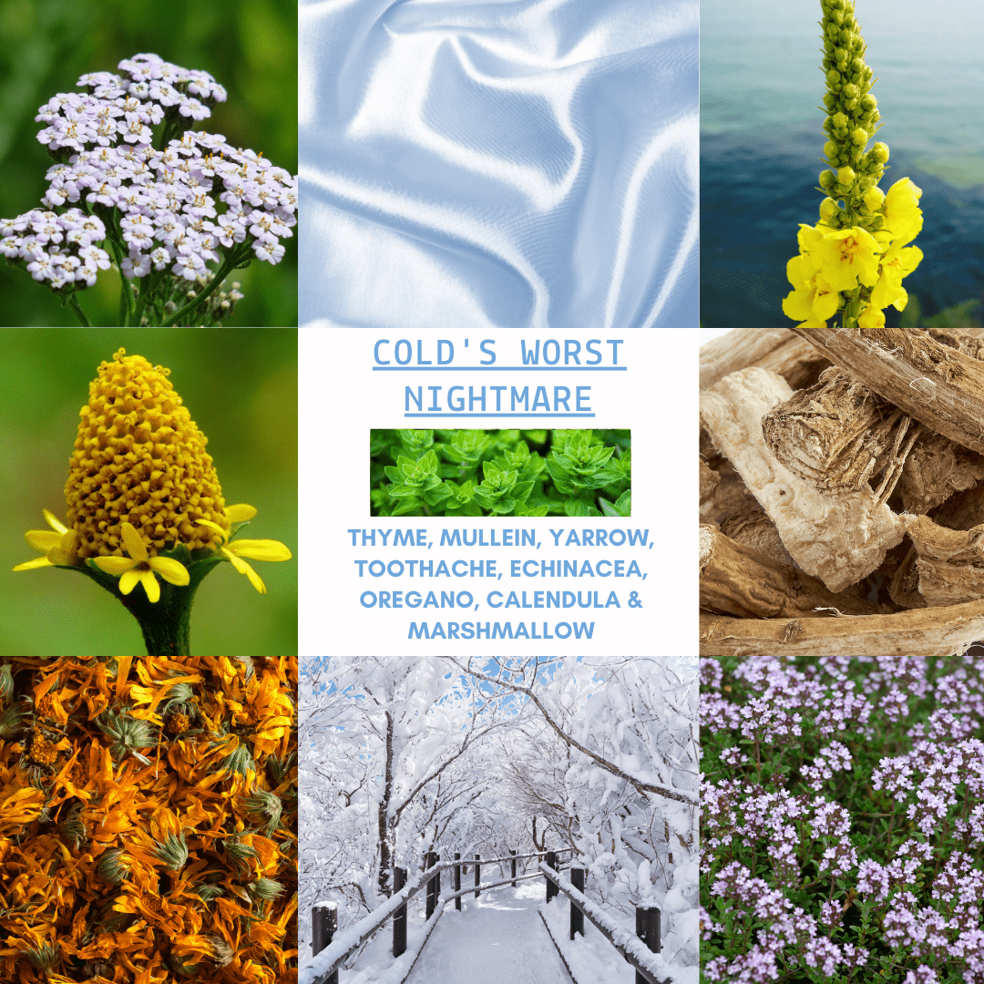 D&A Cold's Worst Nightmare - Colds - Dzastina Agata Natural