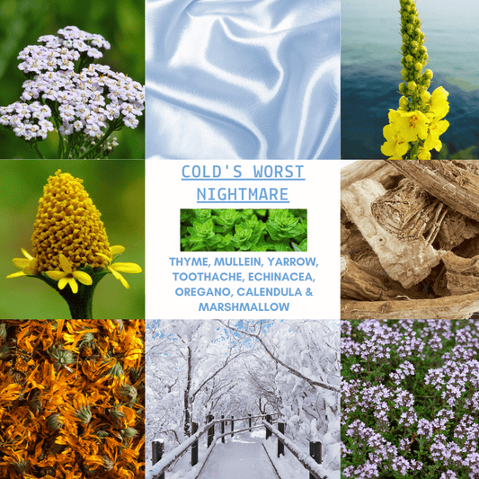 D&A Cold's Worst Nightmare - Colds - Dzastina Agata Natural