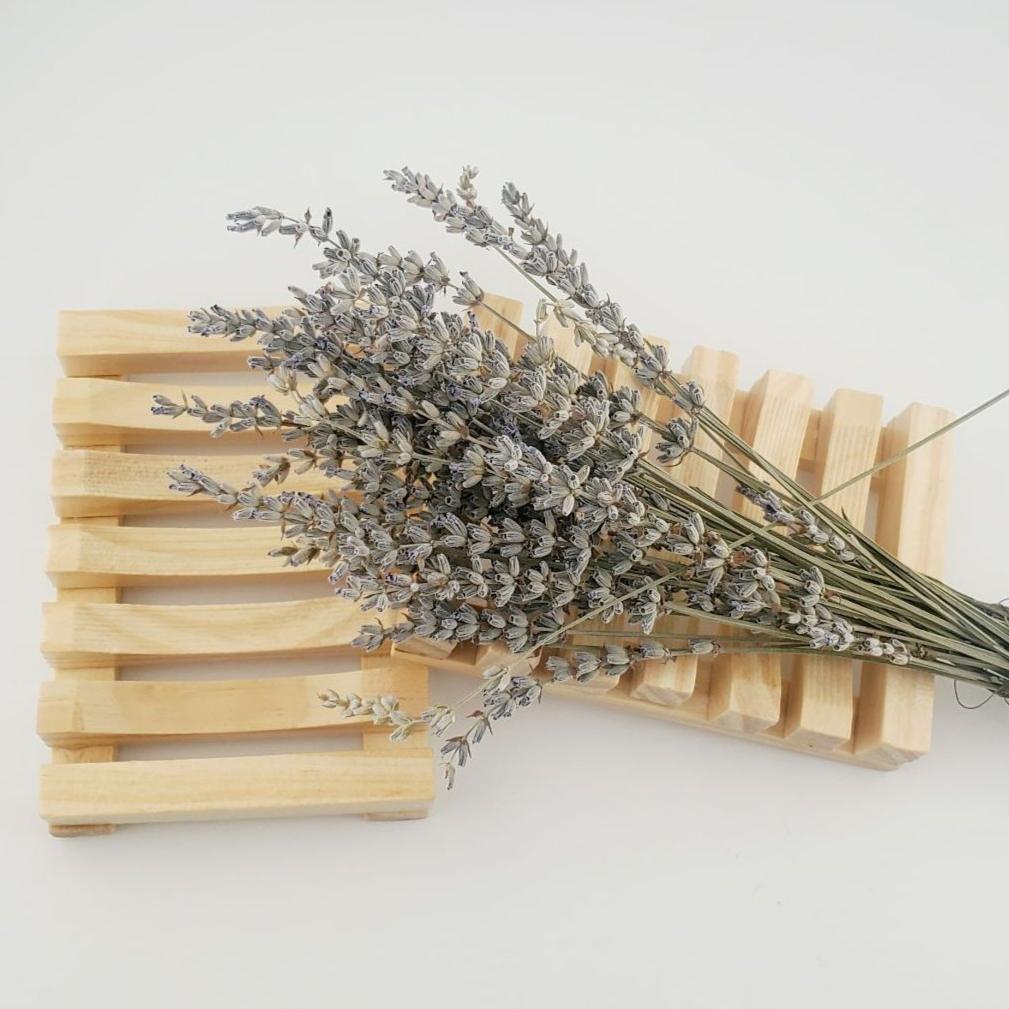 Soap Dishes - Dzastina Agata Natural