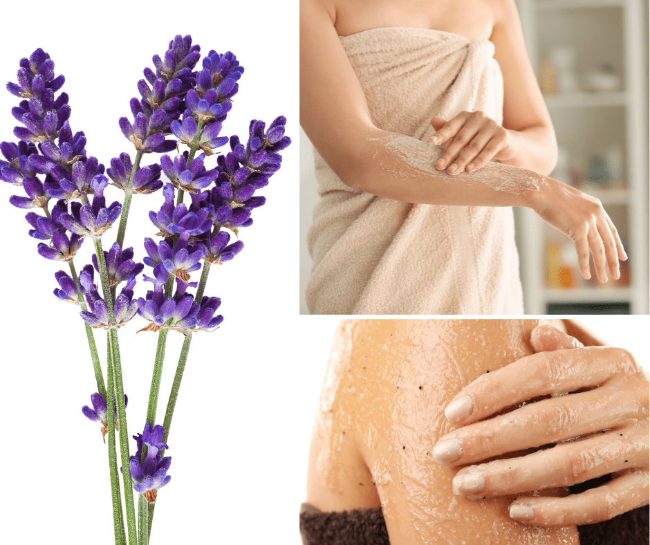 D&A Lavender Sugar Scrub - Dzastina Agata Natural