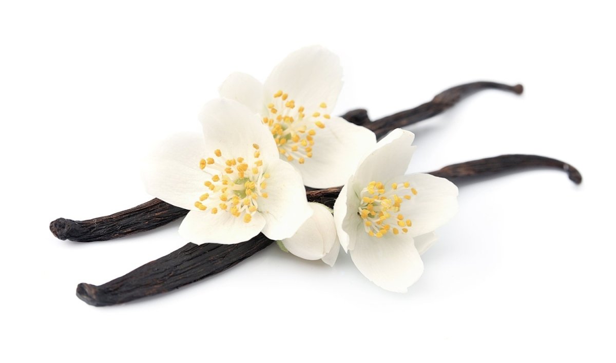 D&A French Vanilla Lip Balm - Dzastina Agata Natural