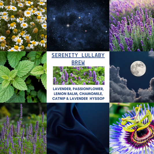 D&A Serenity Lullaby Brew - Sleep