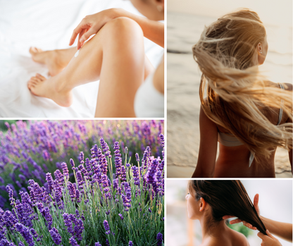 D&A Lavender Shea Hair & Body Oil