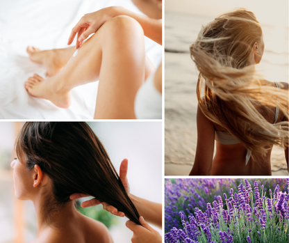 D&A Lavender Shea Hair & Body Oil